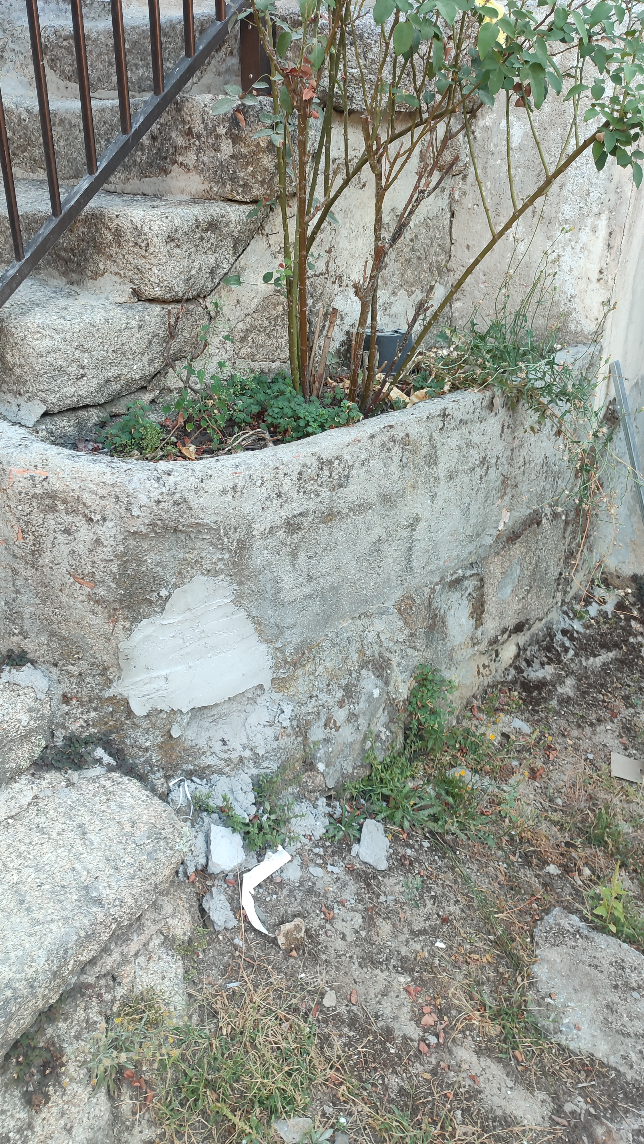 Antes de la restauración de la jardinera